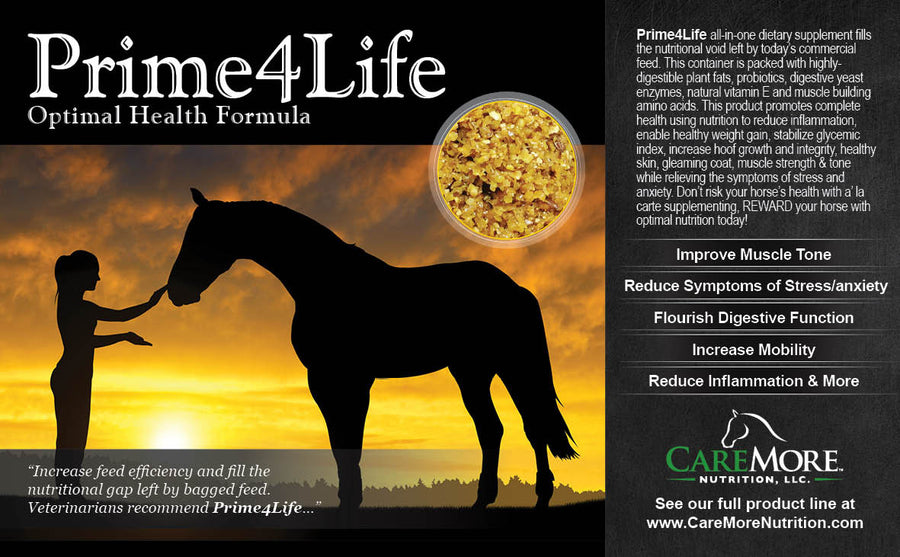 Image of front label of Prime4Life Equine Wellness formula. We use CoolBlend Technology™ to preserve the integrity of live cultures in our formulas. Gain, Seniors, Rescues, OTTB, Omega 3, High Fat Supplement, all natural, safe 