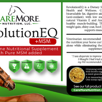 RevolutionEQ+ MSM | Equine Anti-Inflammatory & Immune Support