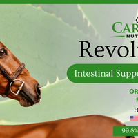 RevolutionGI | Aloe Vera for Equine Use
