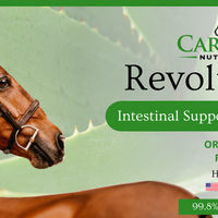 RevolutionGI |  Aloe Vera for Equine Use