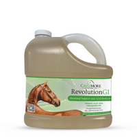 RevolutionGI |  Aloe Vera for Equine Use