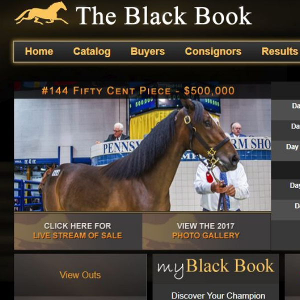 $500,000 Yearling Prepped with RevolutionEQ