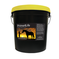 Bucket of Prime4Life an Equine Wellness formula for Hard Keepers. Plant-sourced Omega 3, Amino Acids, probiotics, digestive yeast enzymes, naturally occurring Vitamin E & more in an all-in-one fed daily.